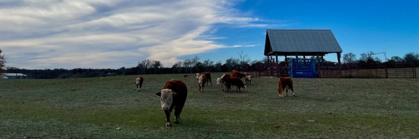 seemaychou Profile Banner