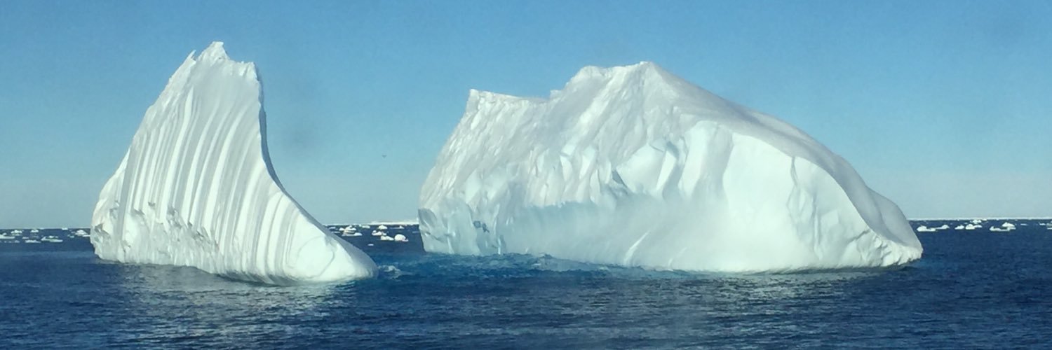 Kelly-Anne Lawler banner
