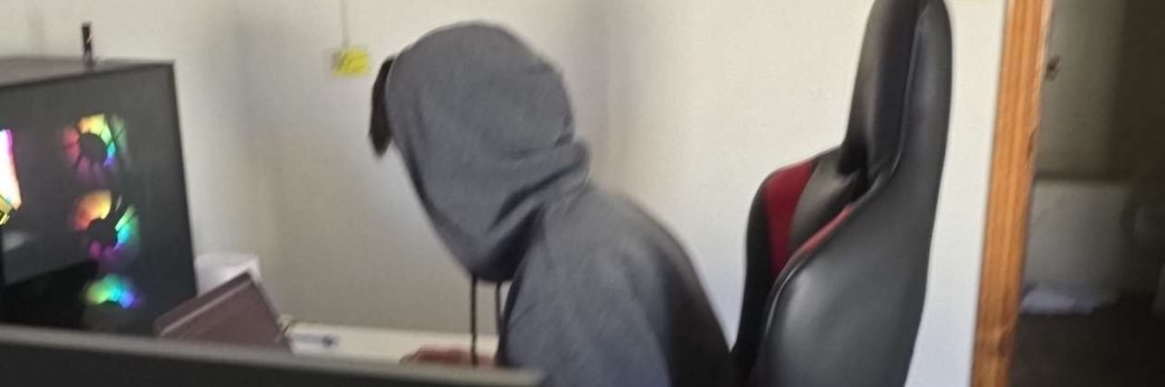 Vexlunix's profile banner image