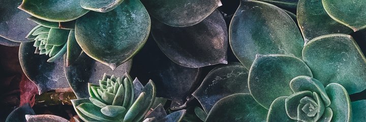 Hello My Name Is Laura banner