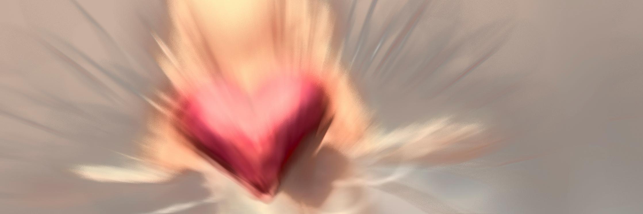 camilla_ask's profile banner image