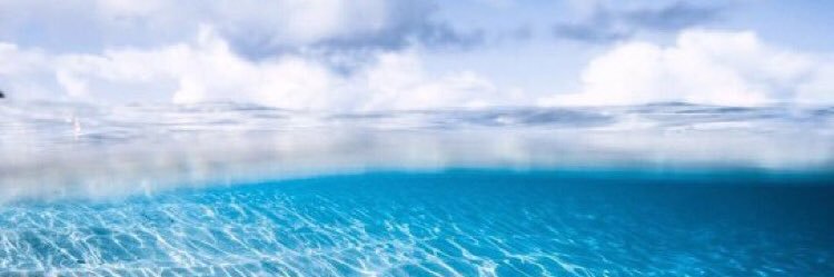 futaim__alali's profile banner image