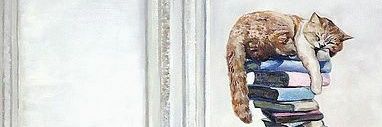 Steph B. banner