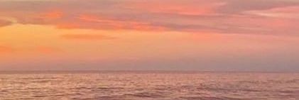 nanpjy's profile banner image