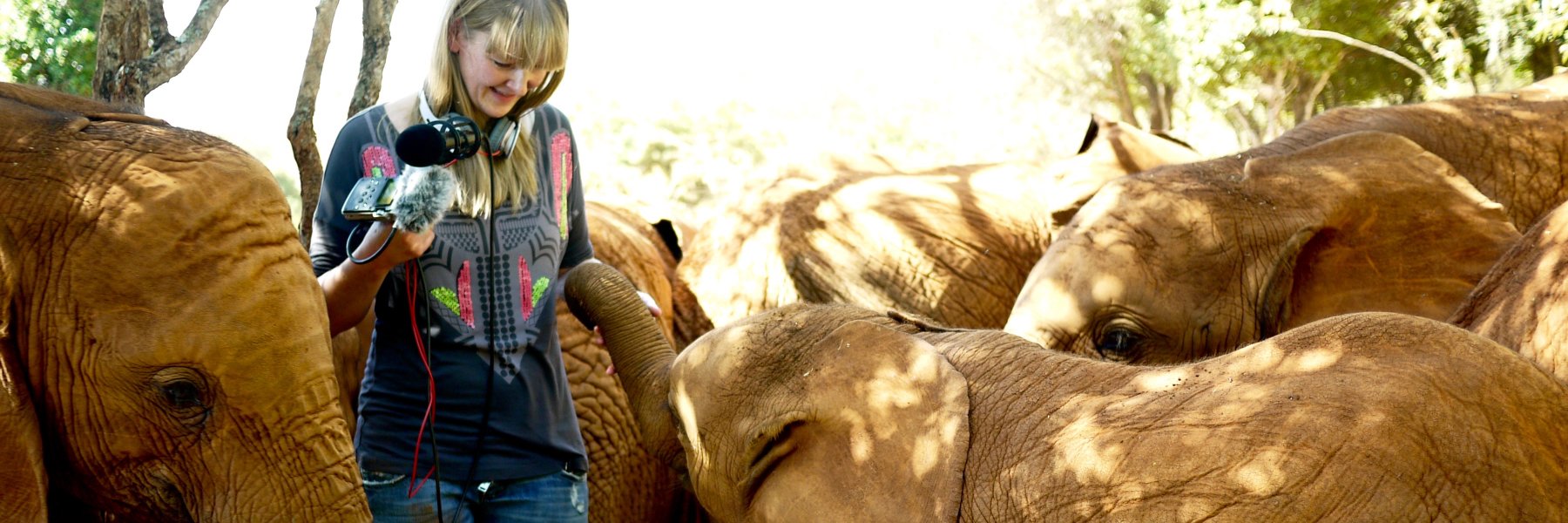 dortedalgaard's profile banner image
