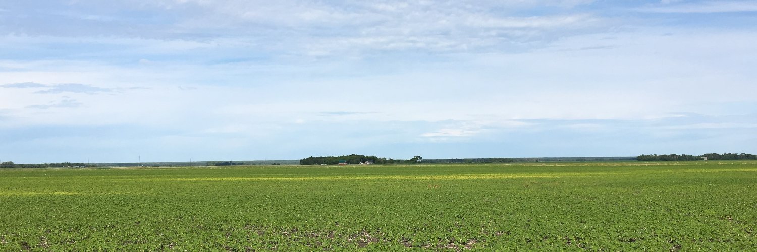 przednowekag1's profile banner image