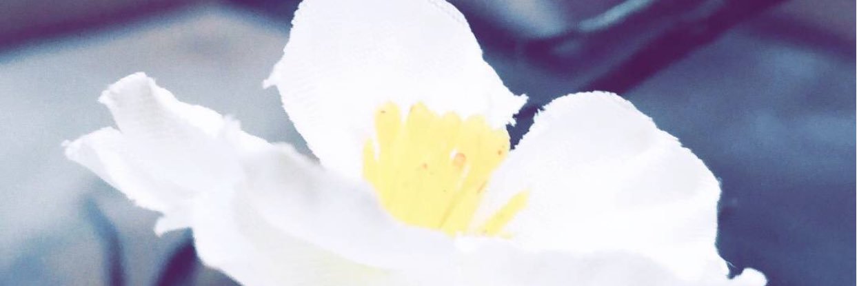 umazain4's profile banner image