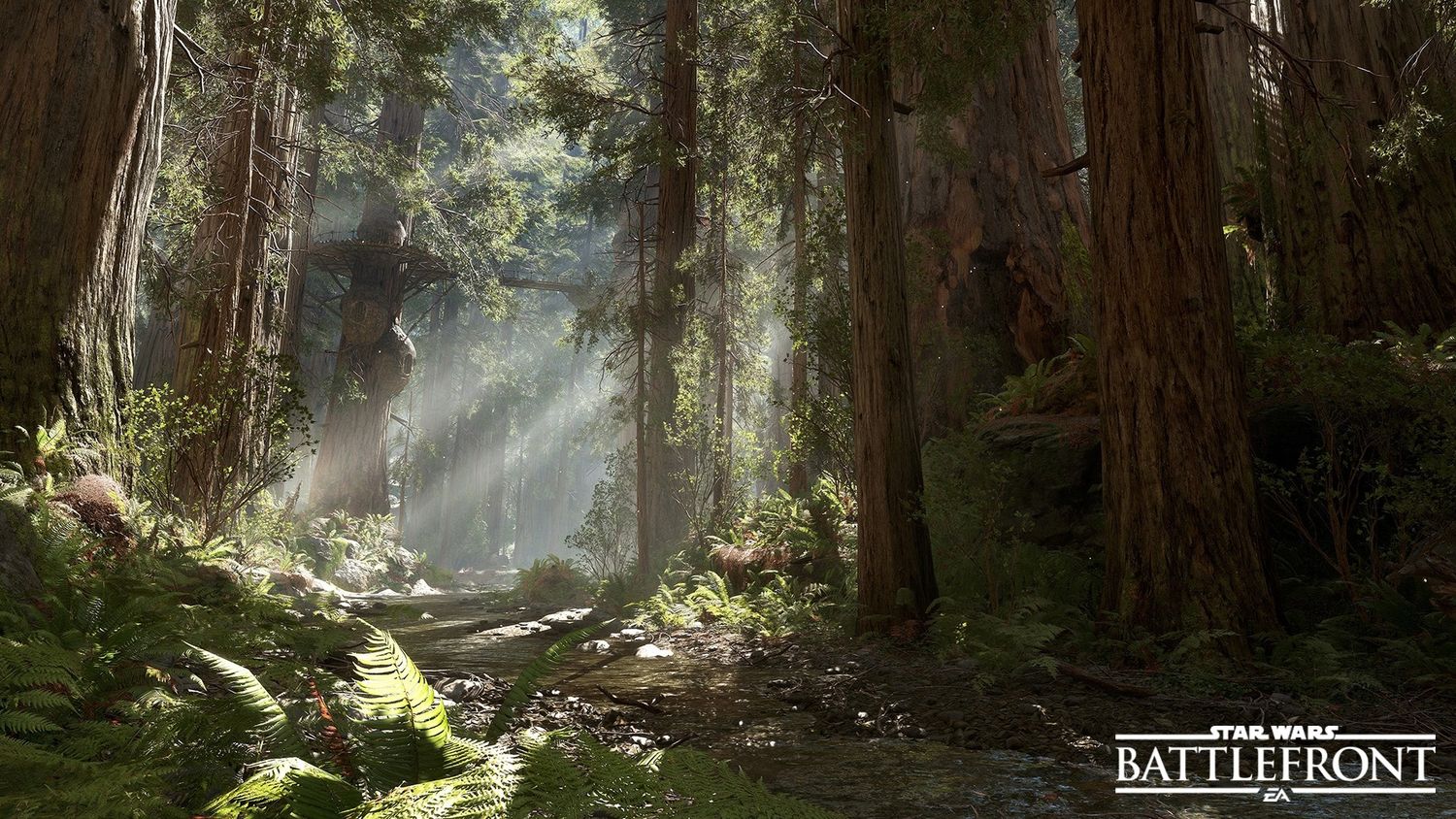 romain_zerka's profile banner image