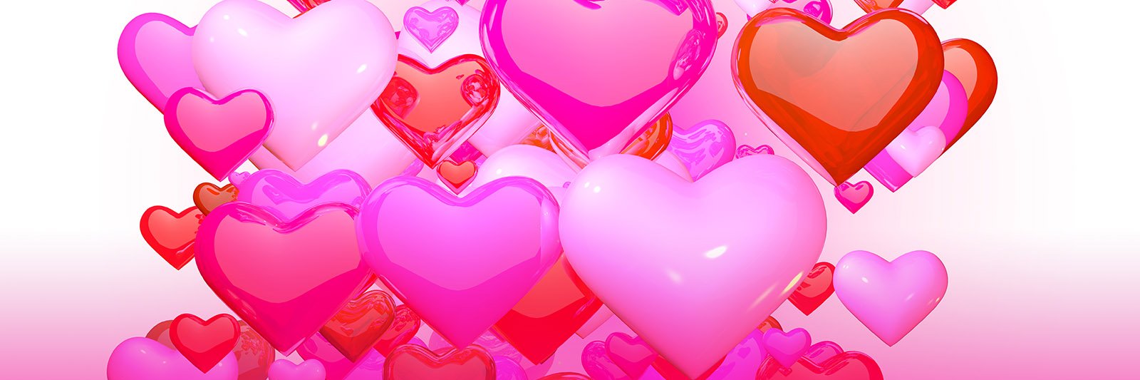 mybidaynow's profile banner image