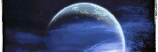 Tropicanaforyou's profile banner image