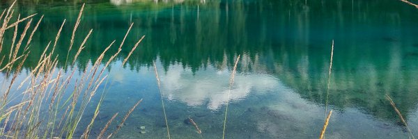 LPereaS Profile Banner