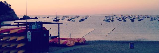 nil_salomo's profile banner image
