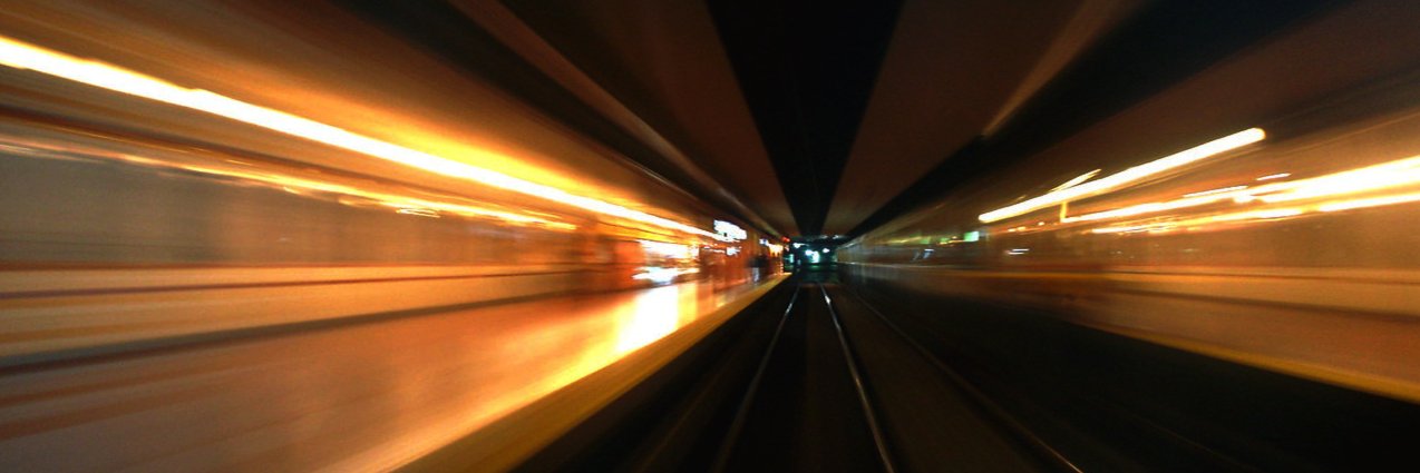 roy 🐦‍⬛ banner