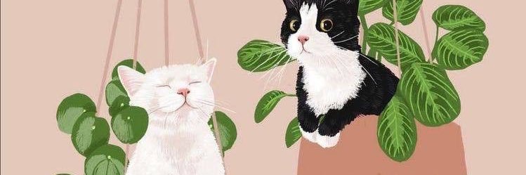 annasty_a's profile banner image