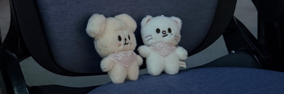 tRAsh banner