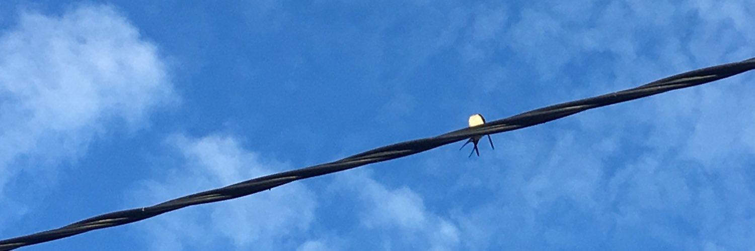 AlexLoos69's profile banner image