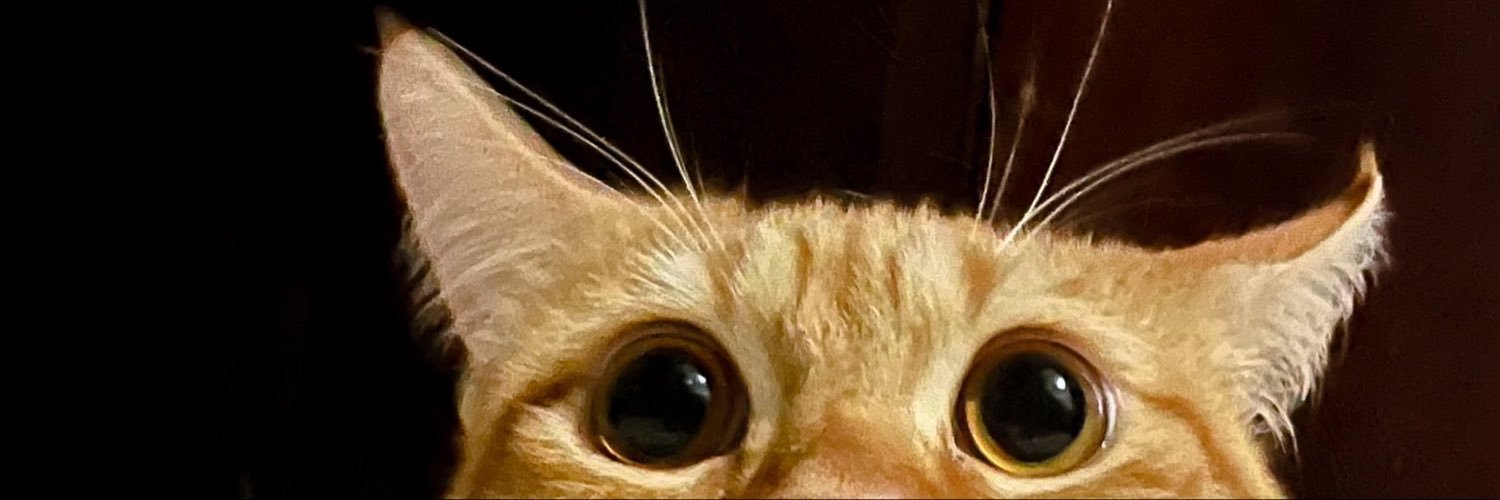 dematchata's profile banner image