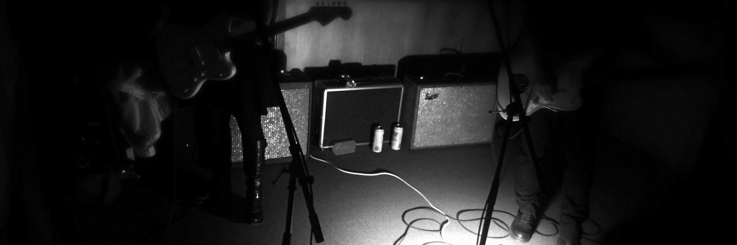 Guest Directors banner