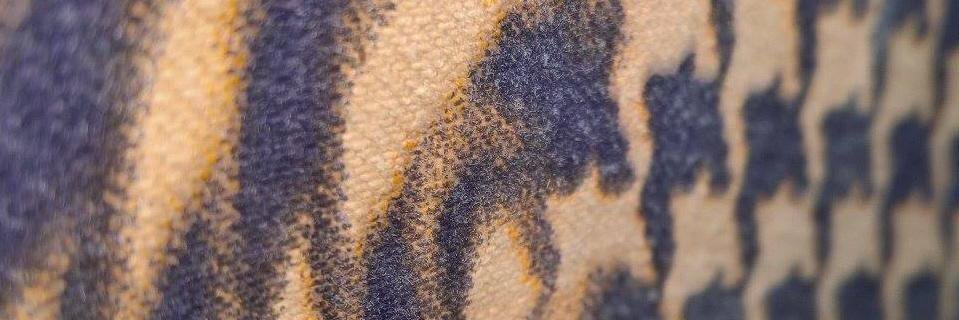 Veljko Petrovic ⚜ banner