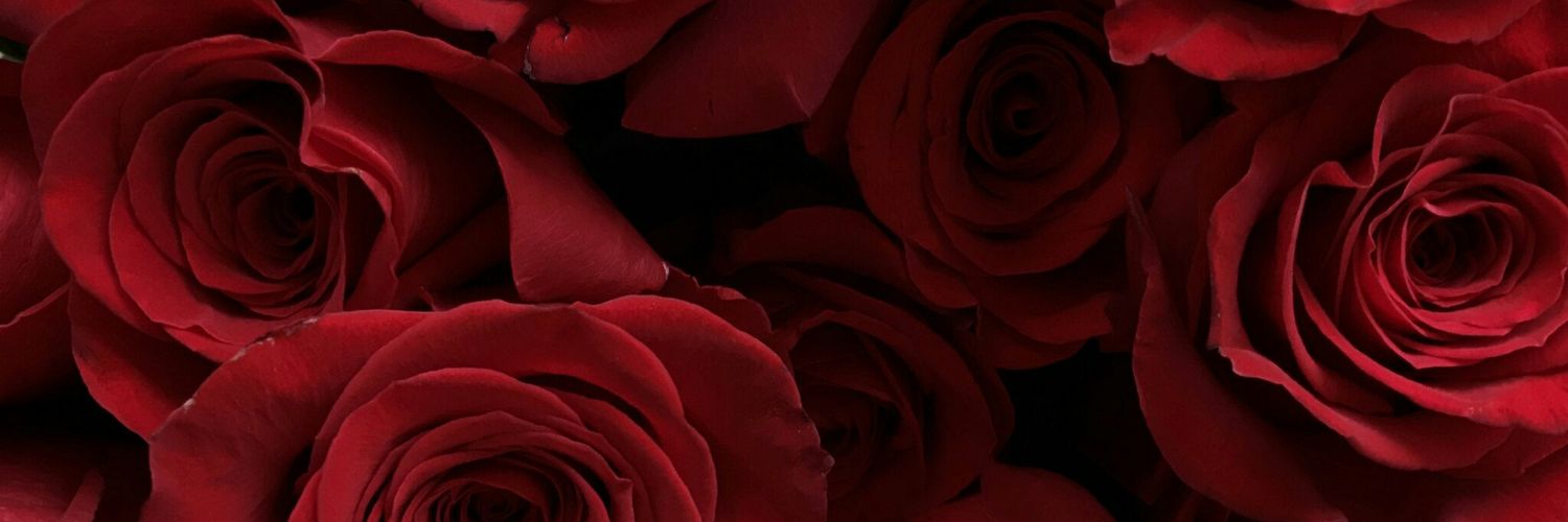 ItsAnissha's profile banner image