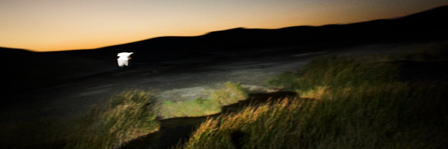 joephilipson's profile banner image