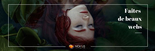 NoviusInfo Profile Banner