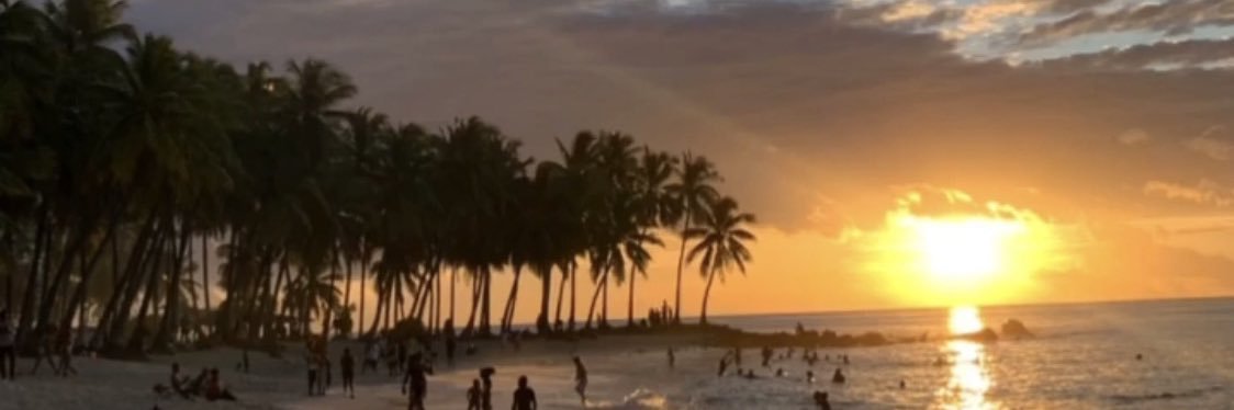 Hobie Brown 𓃠 banner