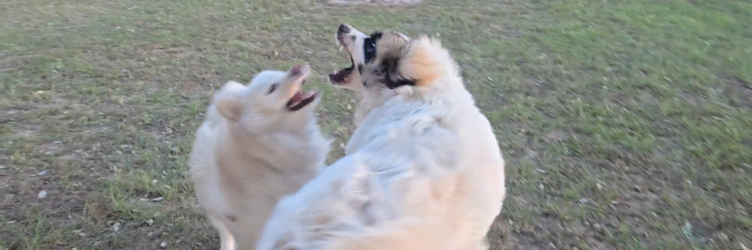 Retribution_2024 banner