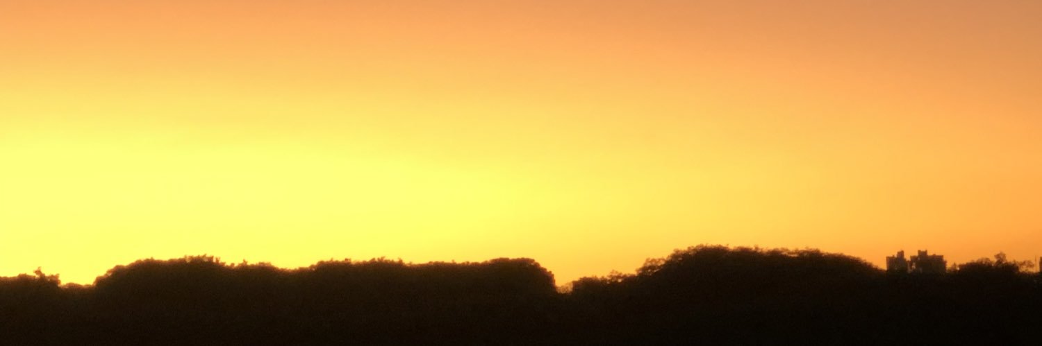 Luis com S banner