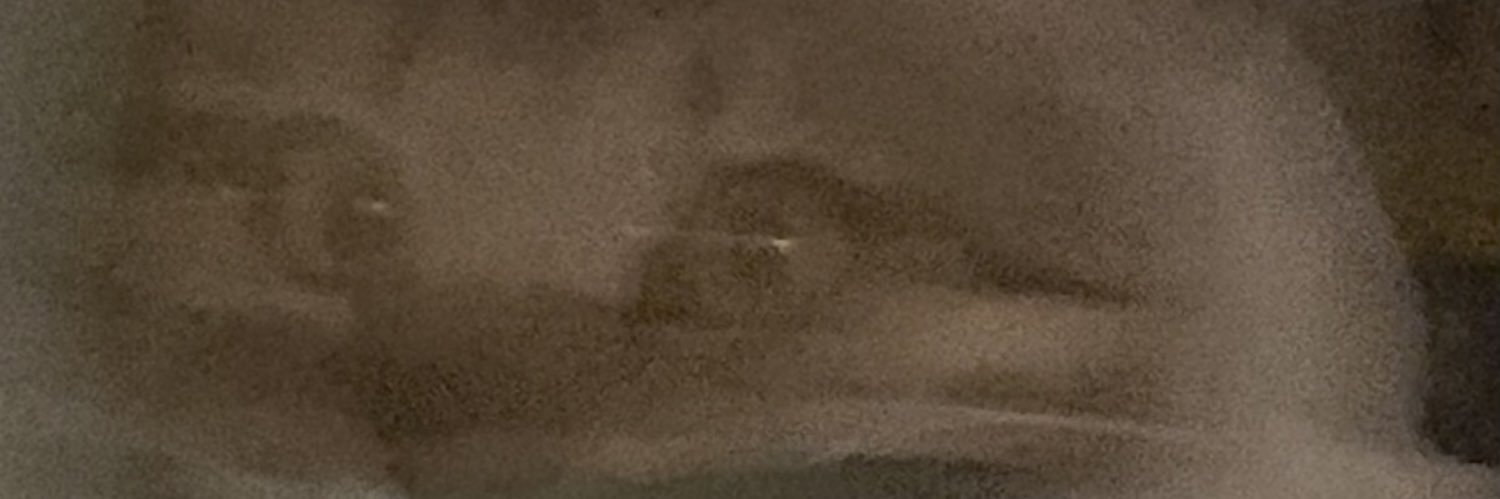 Teoman Gavaz banner