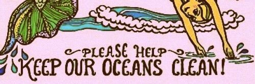 Clara Williams banner