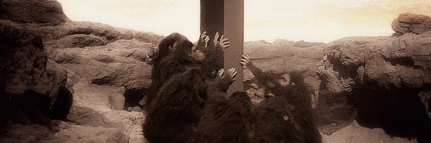 PiercarloMauri's profile banner image
