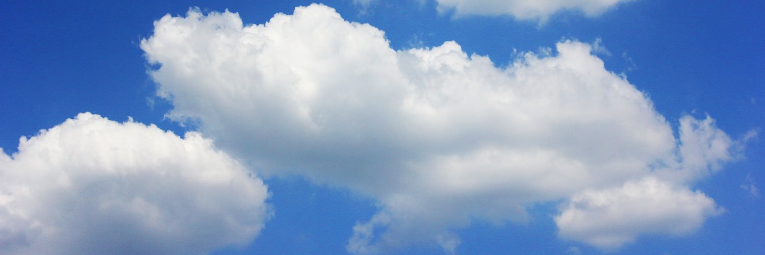 Núria Molas Castells banner