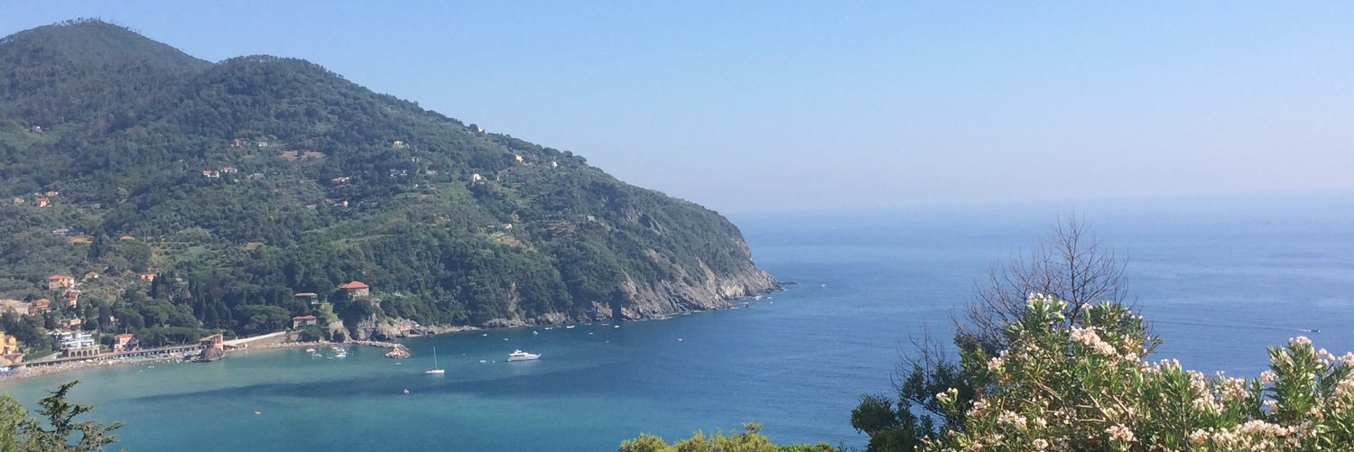 Jenn from Toronto 😺🇨🇦 banner