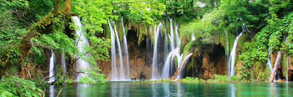 أبو إلياس banner