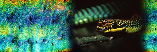 J_Exp_Biol Profile Banner