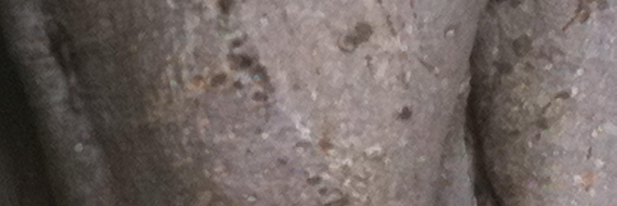 BreeHadley's profile banner image