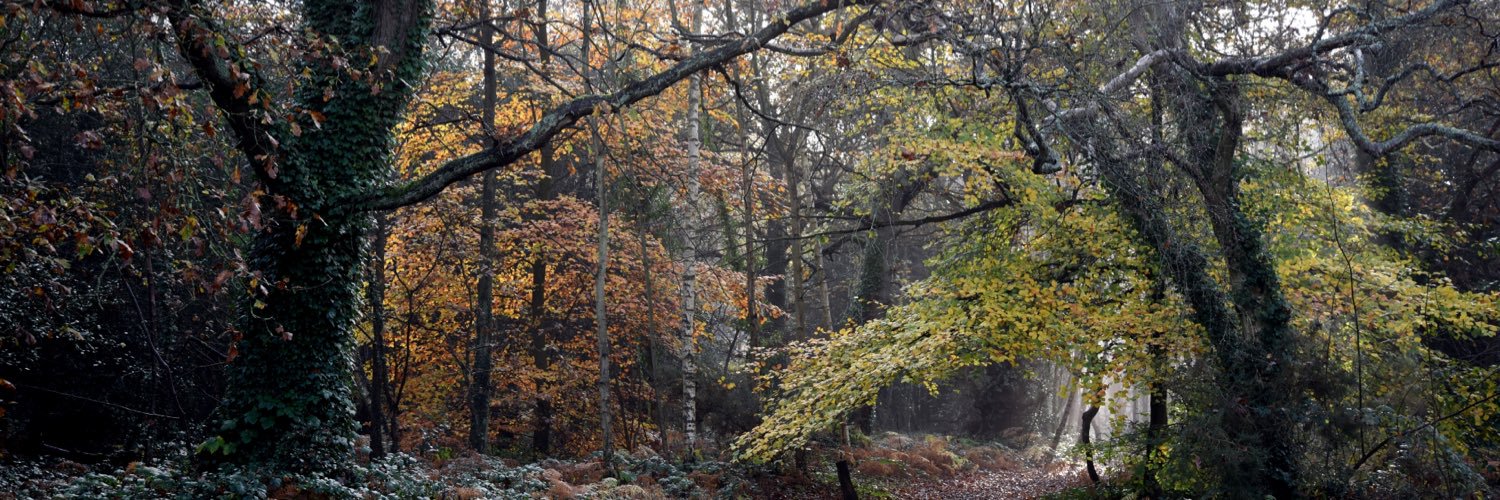 Chislehurst Commons banner