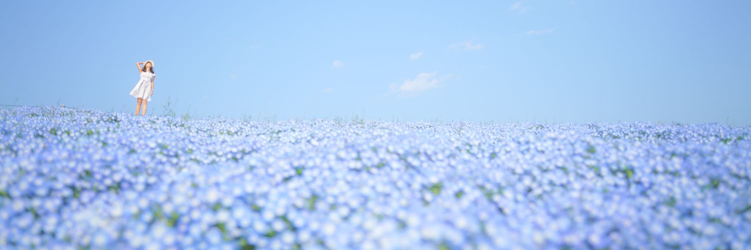 sui_vagrant's profile banner image