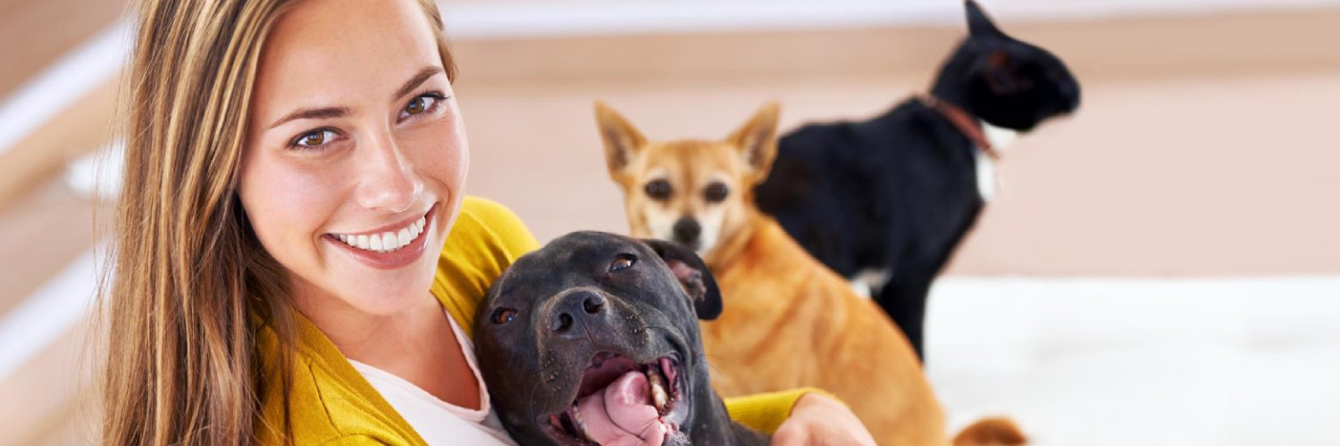 getbuddypets's profile banner image
