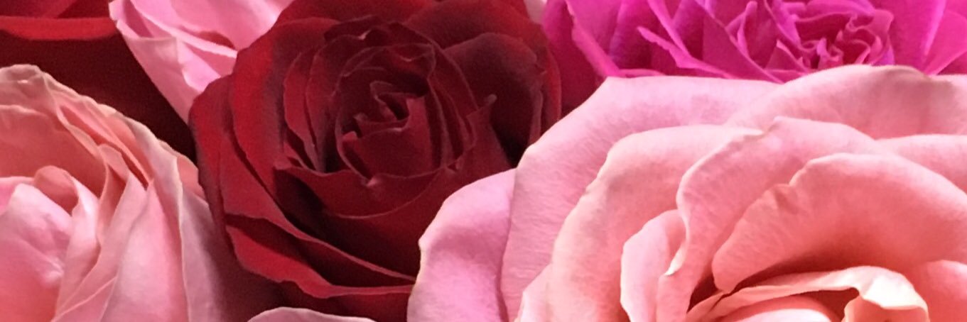 JessicaTGarfias's profile banner image