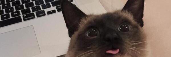 tatasintha's profile banner image