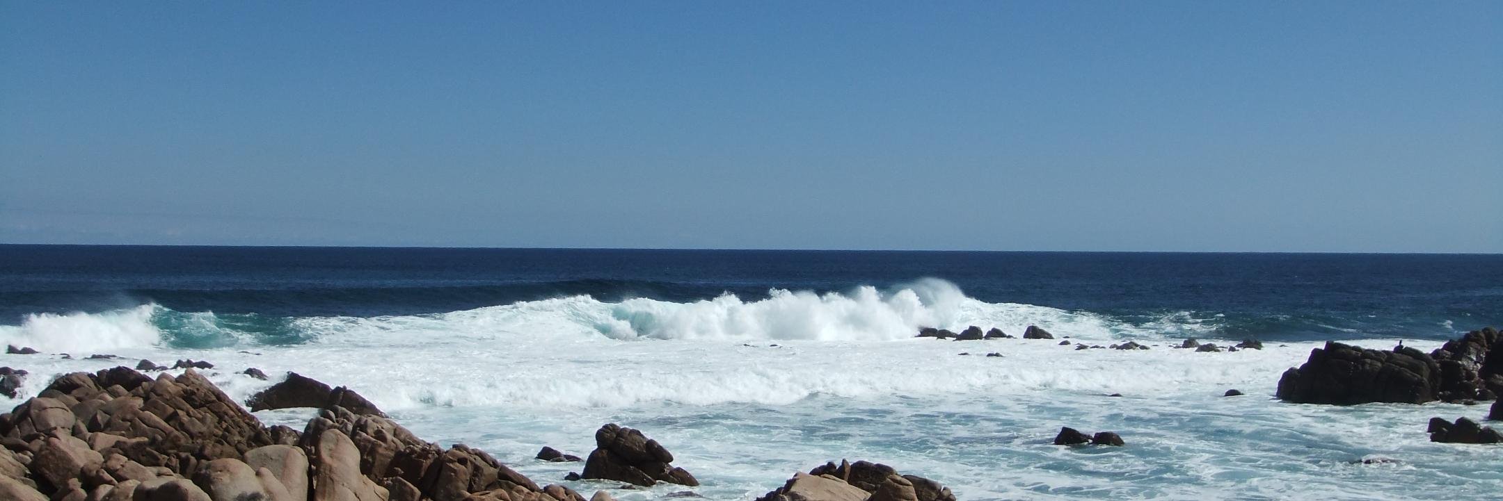 Heather Wilson banner