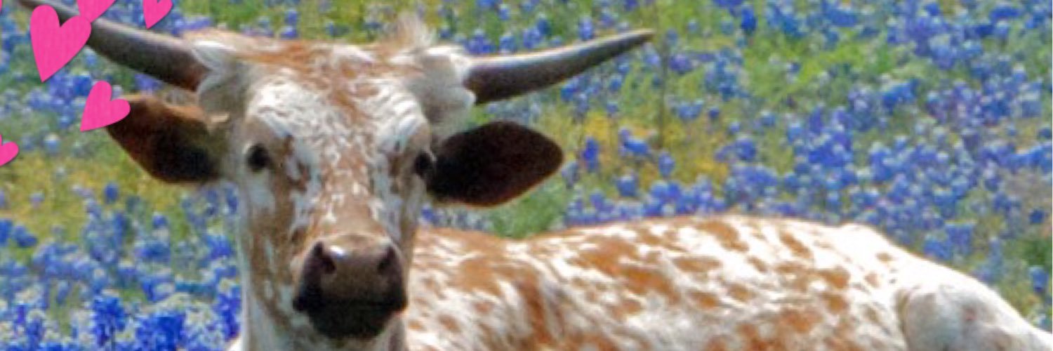 surfcorky74's profile banner image