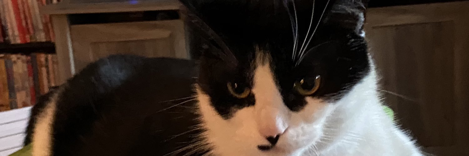 Lois Hetherington banner