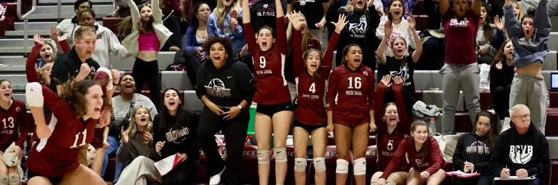 BC Volleyball banner