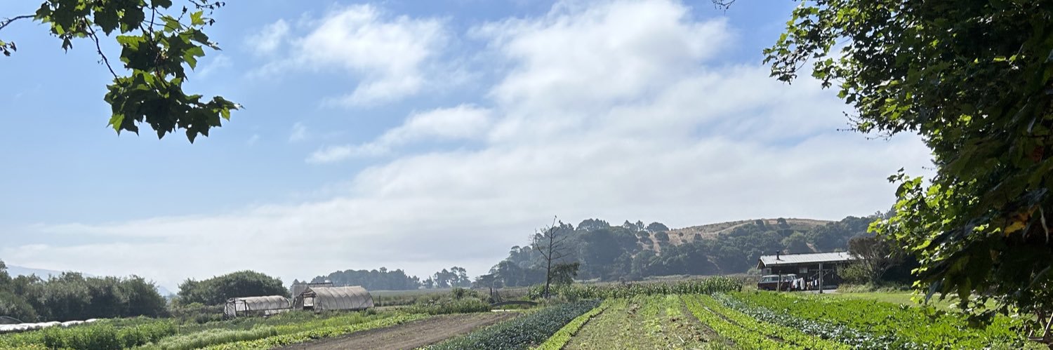 nebulaaxo's profile banner image