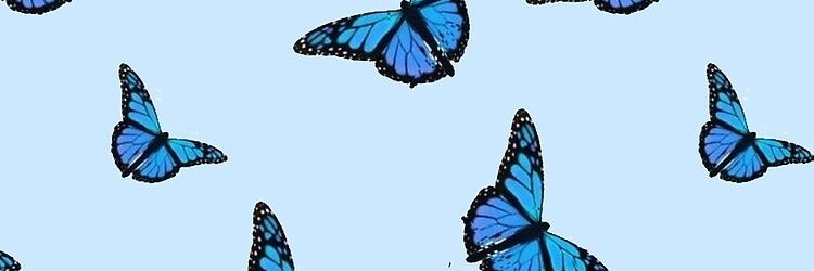 aka_dymo's profile banner image