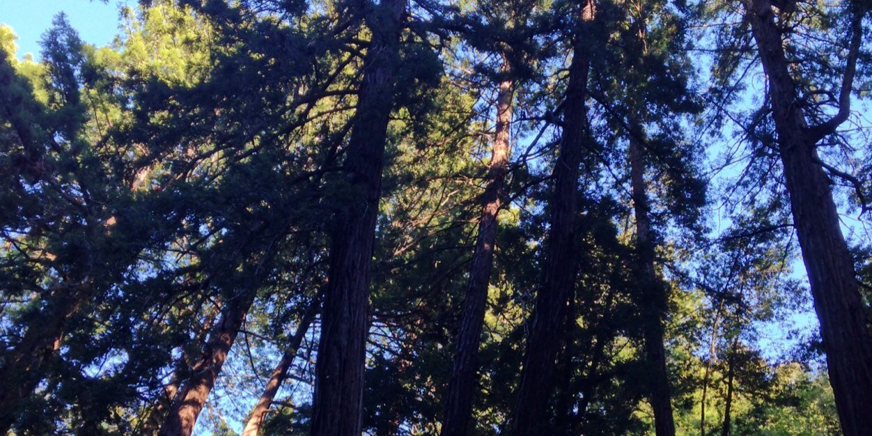 neilbern's profile banner image