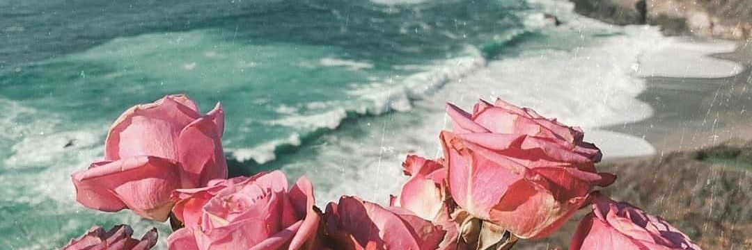 tanvijaintalks's profile banner image